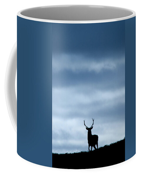 Stag Silhouette Coffee Mug featuring the photograph Stag Silhouette #17 by Gavin MacRae