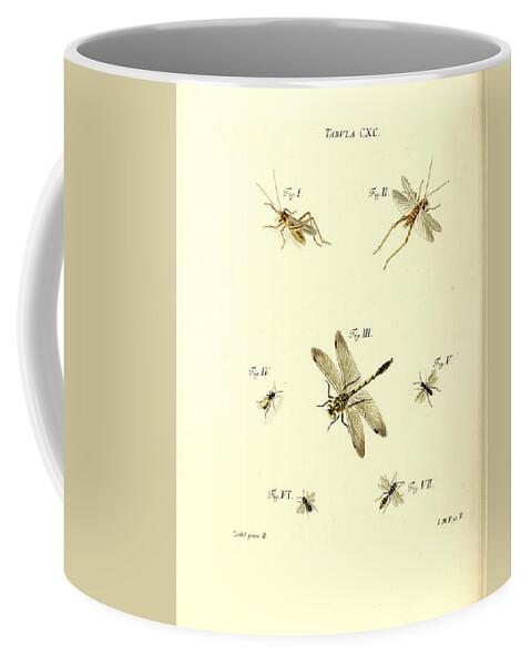 Grasshoppers Coffee Mug featuring the mixed media Insects #174 by World Art Collective