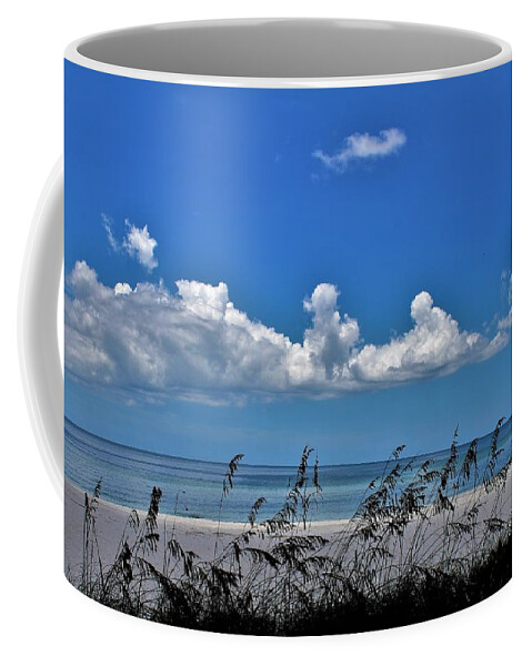  Coffee Mug featuring the photograph Naples Beach by Donn Ingemie