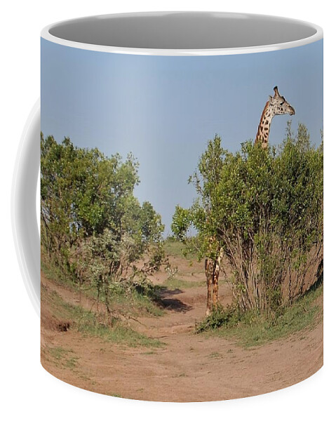  Coffee Mug featuring the photograph 19k by Jay Handler