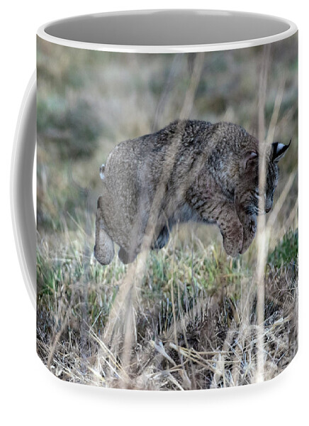  Coffee Mug featuring the photograph 1dx22153 by John T Humphrey