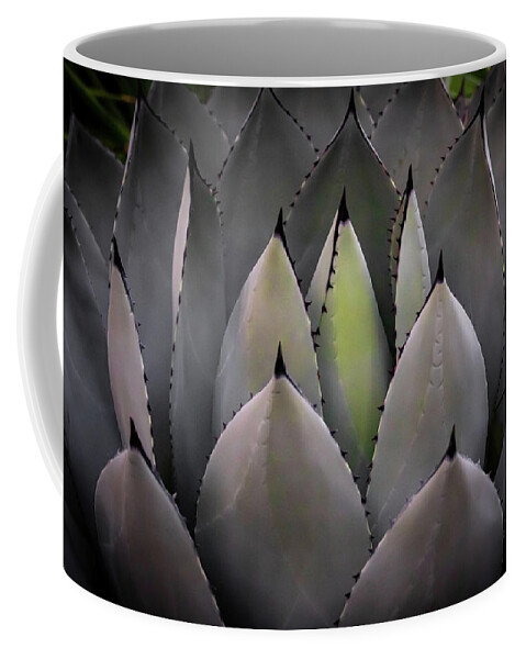 Cacti Coffee Mug featuring the photograph Agave parryi truncata #2 by Gary Geddes