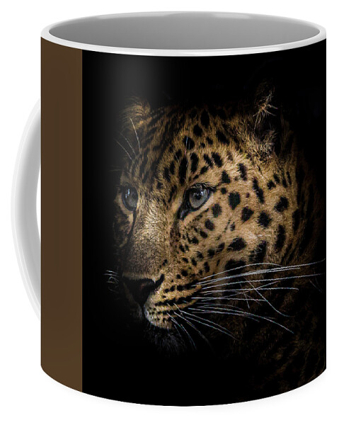 Amur Coffee Mug featuring the photograph Amur Leopard by Chris Boulton
