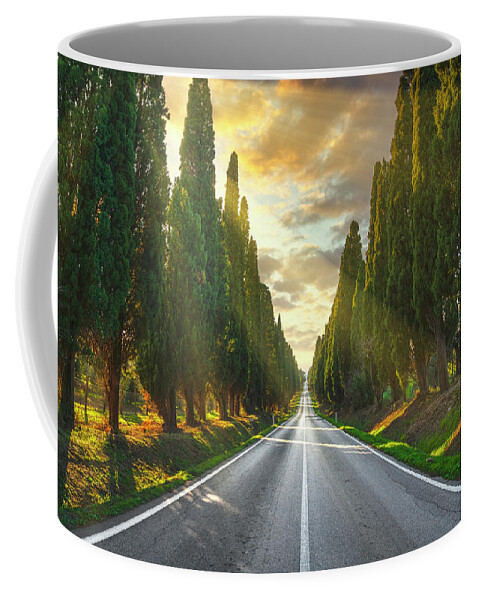 Bolgheri Coffee Mug featuring the photograph Bolgheri Boulevard and Sunbeams by Stefano Orazzini