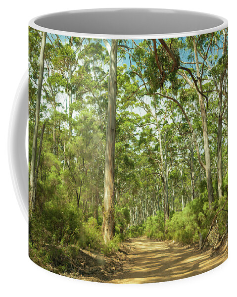 Green Coffee Mug featuring the photograph Boranup Forest, Nr. Margaret River, Western Australia by Elaine Teague