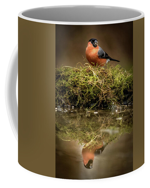 Animal Coffee Mug featuring the photograph Bullfinch #2 by Chris Smith