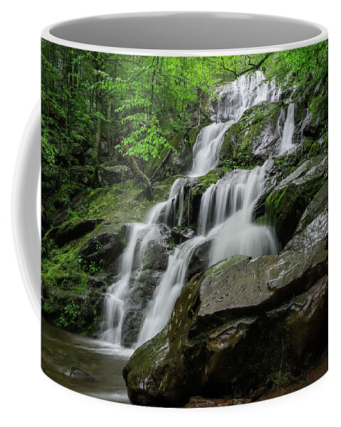 Dark Hollow Falls Coffee Mug featuring the photograph Dark Hollow Falls #2 by Chris Berrier