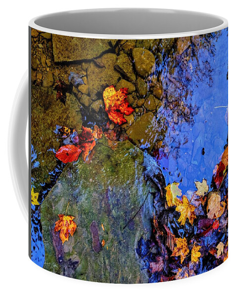  Coffee Mug featuring the photograph Fall Leaves by Brad Nellis