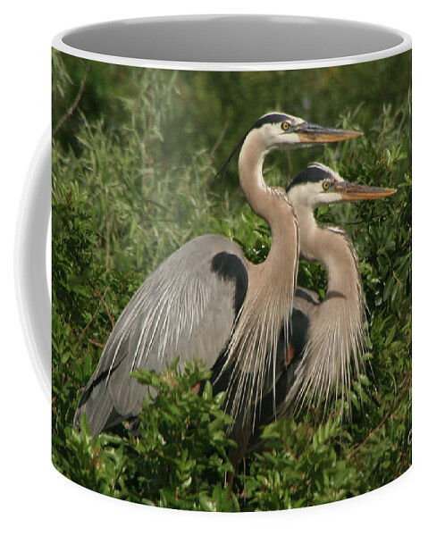 Nature Coffee Mug featuring the photograph Family Portrait #2 by Mariarosa Rockefeller