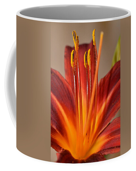 Lily Coffee Mug featuring the photograph Fire Lily 2 by Amy Fose