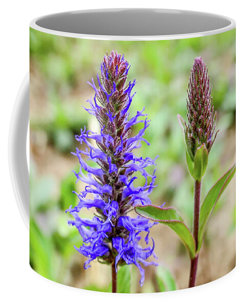 Flower Coffee Mug featuring the digital art Flower #2 by Pal Szeplaky