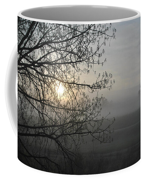 Eerie Coffee Mug featuring the photograph Foggy Morning #2 by Vallee Johnson
