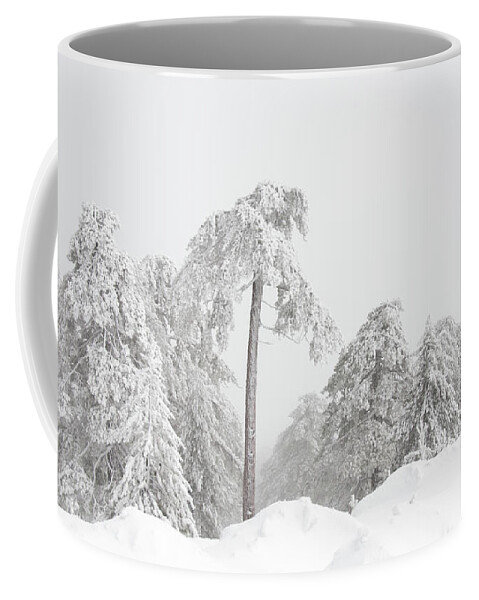 Frozen Coffee Mug featuring the photograph Forest landscape in snowy mountains. Snowstorm and frozen snow covered fir trees in winter season. #1 by Michalakis Ppalis