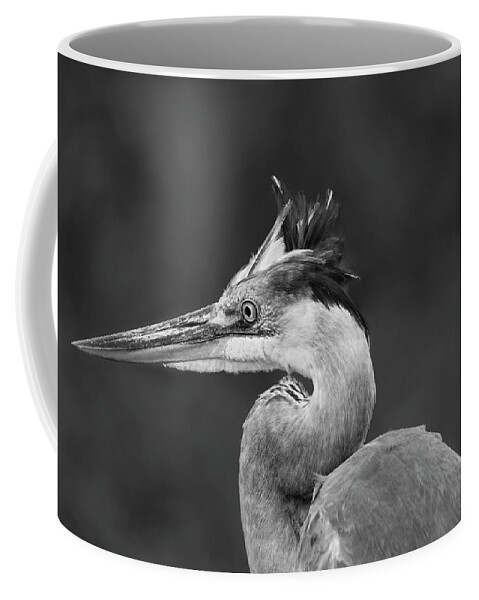  Coffee Mug featuring the photograph Great blue heron by Puttaswamy Ravishankar
