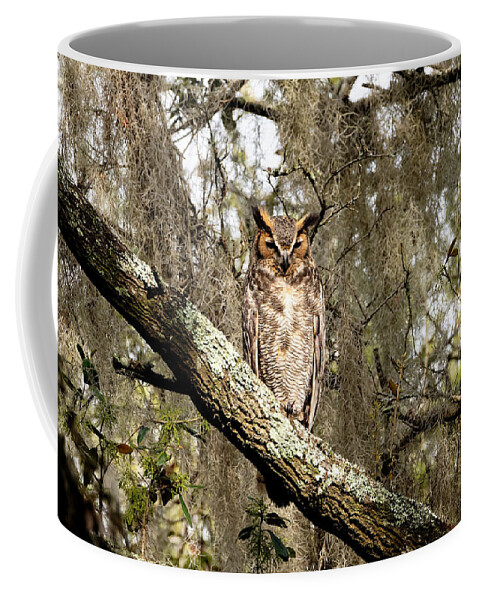 Great Horned Owl Coffee Mug featuring the photograph Great Horned Owl #2 by Colin Hocking