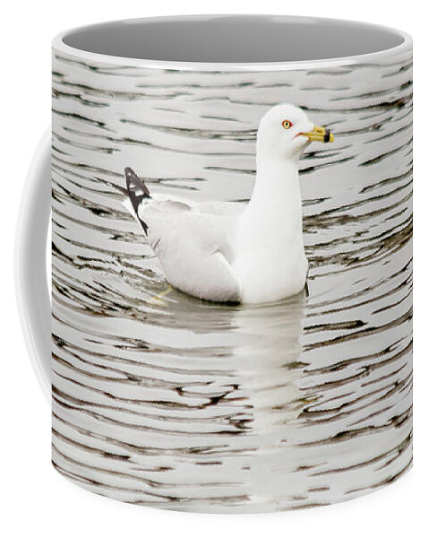 Larus Delawarensis Coffee Mug featuring the photograph Gull floats on water #2 by SAURAVphoto Online Store