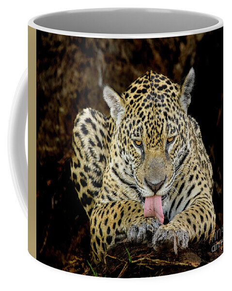 Brazil Coffee Mug featuring the photograph Jaguar #2 by Patrick Nowotny