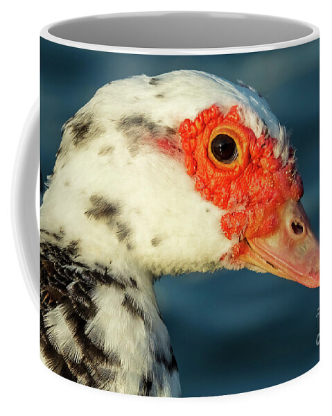 Iridescent Coffee Mug featuring the photograph Muscovy Duck Domestic type Cairina moschata Costa Ballena Cadiz #2 by Pablo Avanzini