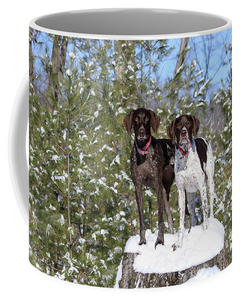 German Shorthaired Pointers Coffee Mug featuring the photograph My Girls by Brook Burling