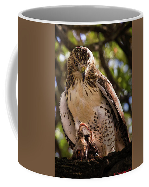 Duck Coffee Mug featuring the photograph Red-Tail Hawk with Prey #2 by Rene Vasquez