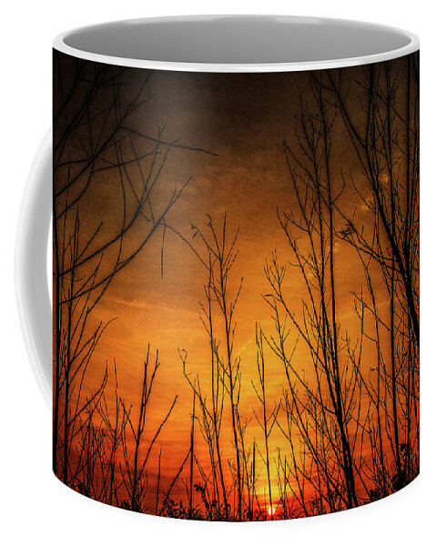 Sunrise Lockport Illinois Orange Yellow Coffee Mug featuring the photograph Sunrise in Lockport, Illinois #2 by David Morehead