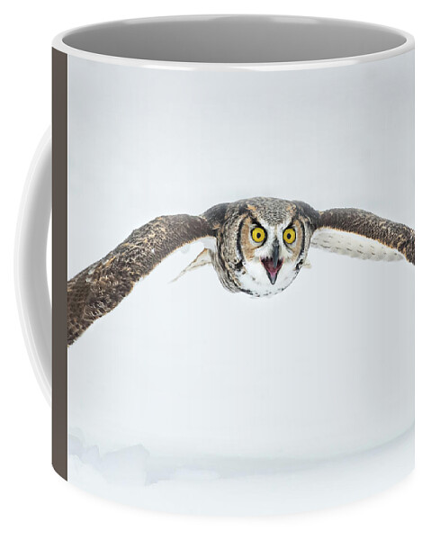Owl Coffee Mug featuring the photograph Surprised #2 by CR Courson