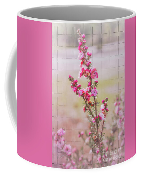 Leptospermum Coffee Mug featuring the photograph Tea Tree - Leptospermum by Elaine Teague