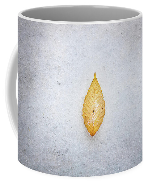 Snow Day Coffee Mug featuring the photograph The Leaf #2 by Jordan Hill
