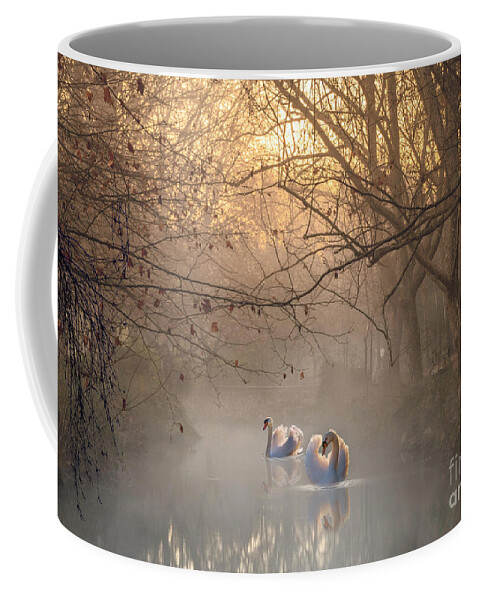 Swans Coffee Mug featuring the mixed media The Light Of The Fall #1 by Morag Bates
