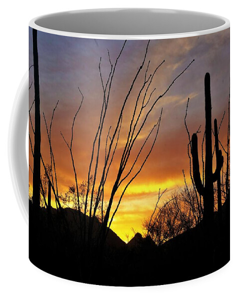 Amazing Sunsets Coffee Mug featuring the photograph Tucson Arizona Sunset #2 by Dennis Boyd