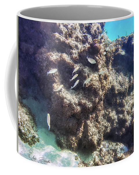 Fish Coffee Mug featuring the photograph Underwater #2 by Meir Ezrachi