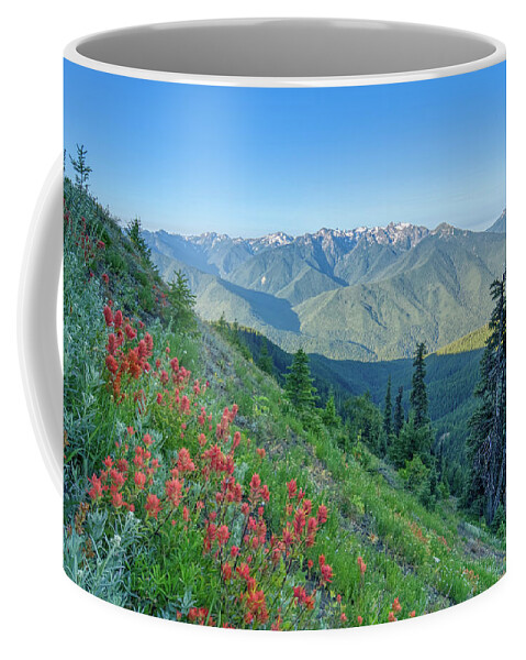 Mt. Olympus Coffee Mug featuring the photograph Wildflowers #2 by Brian Kamprath