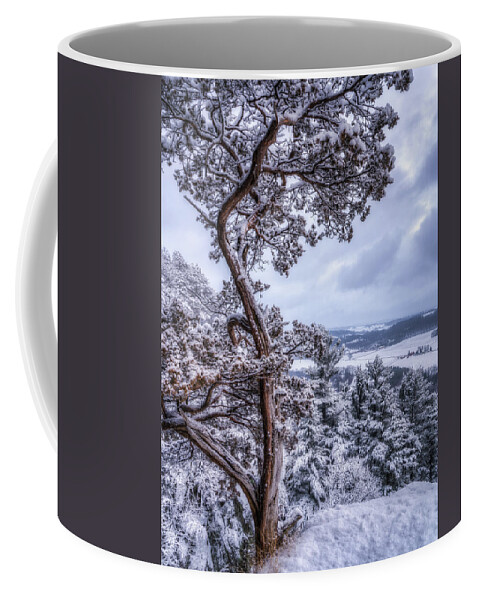 Snow Coffee Mug featuring the photograph Winter Wonderland #2 by Brad Bellisle