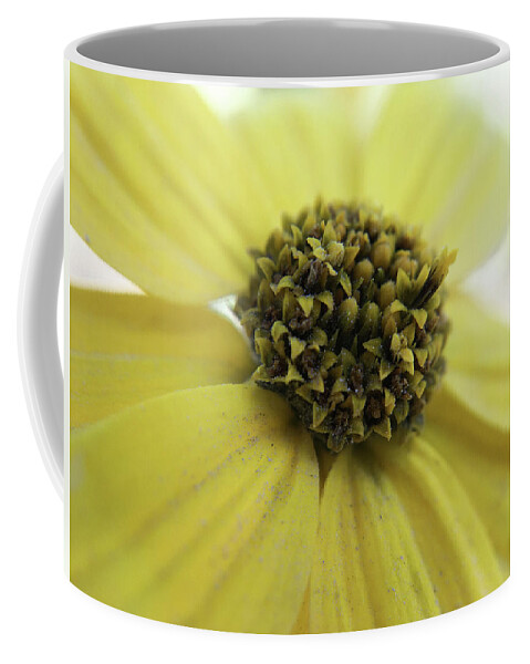 Wildflower Coffee Mug featuring the photograph Yellow Wildflower Macro #2 by K Bradley Washburn