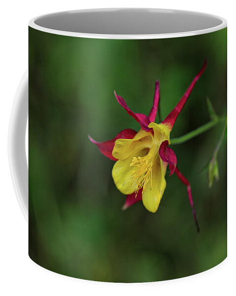 Co Coffee Mug featuring the photograph Colorado #21 by Doug Wittrock