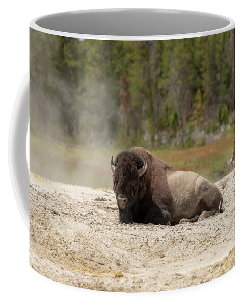 Buffalo Coffee Mug featuring the photograph 2018 Buffalo- 5 by Tara Krauss