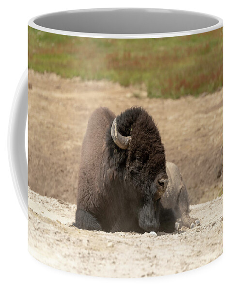 Buffalo Coffee Mug featuring the photograph 2018 Buffalo- 6 by Tara Krauss