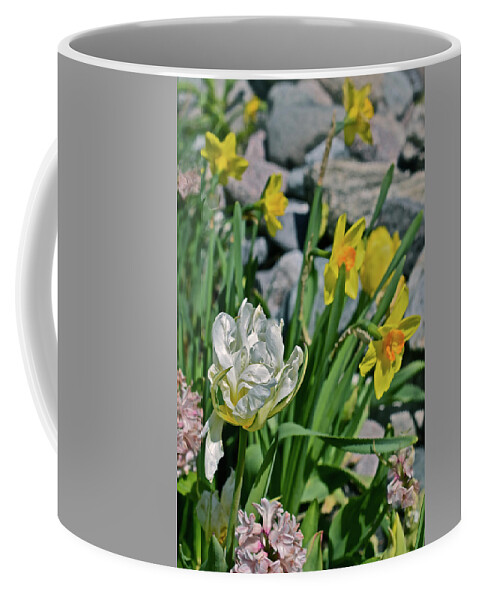 Tulips Coffee Mug featuring the photograph 2020 Acewood Tulips, Hyacinth and Daffodils by Janis Senungetuk