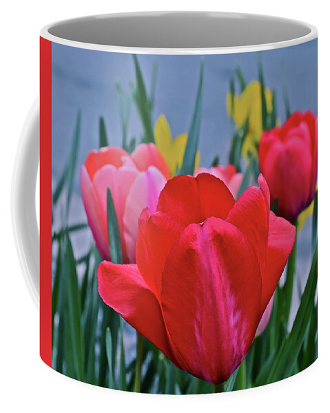 Tulips Coffee Mug featuring the photograph 2020 Acewood Tulips Welcome by Janis Senungetuk
