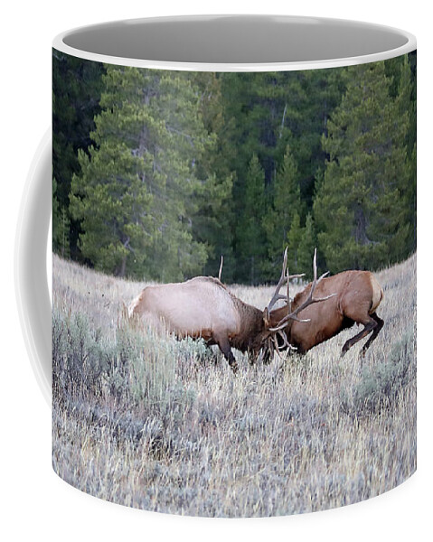 Elk Coffee Mug featuring the photograph 2020 Bull Elk by Jean Clark