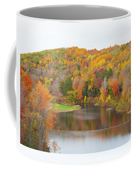 Fall Coffee Mug featuring the photograph Connecticut Foliage_8196 by Rocco Leone