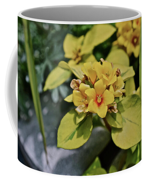 Flowers Coffee Mug featuring the photograph 2020 Mid June Garden Container 1 by Janis Senungetuk