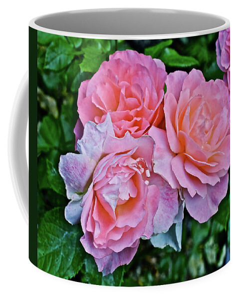 Roses Coffee Mug featuring the photograph 2020 Mid June Garden Coral Roses 1 by Janis Senungetuk