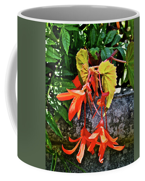Begonia Coffee Mug featuring the photograph 2020 Mid June Garden Welcome by Janis Senungetuk