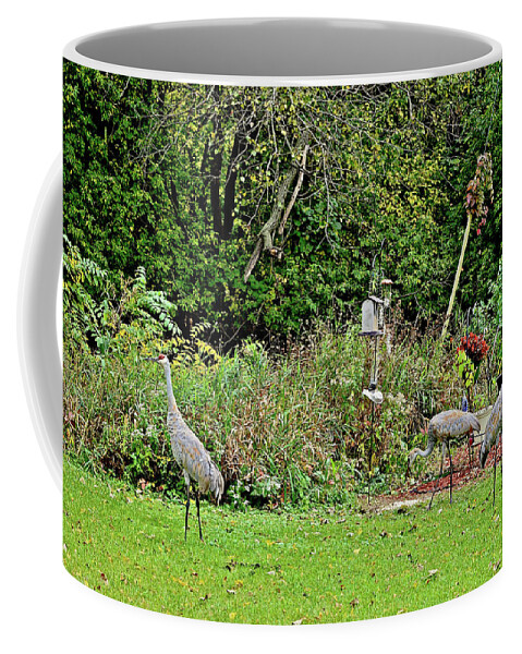 Sandhill Cranes; Backyard; Birds; Coffee Mug featuring the photograph 2021 Fall Sandhill Cranes 2 by Janis Senungetuk