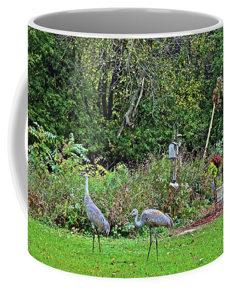 Sandhill Cranes Coffee Mug featuring the photograph 2021 Fall Sandhill Cranes 3 by Janis Senungetuk