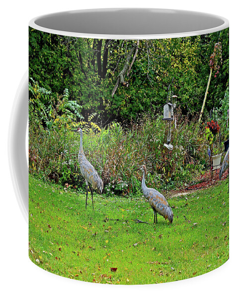 Sandhill Cranes; Birds; Backyard; Coffee Mug featuring the photograph 2021 Fall Sandhill Cranes 5 by Janis Senungetuk