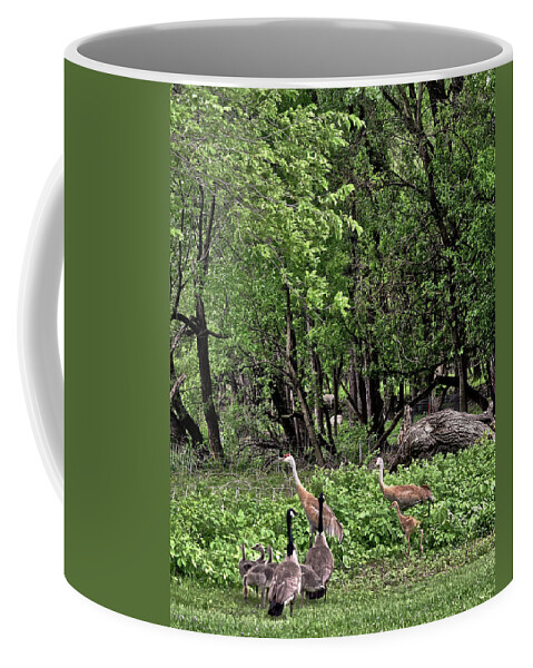 Sandhill Cranes Coffee Mug featuring the photograph 2022 Busy Afternoon at the Basin by Janis Senungetuk
