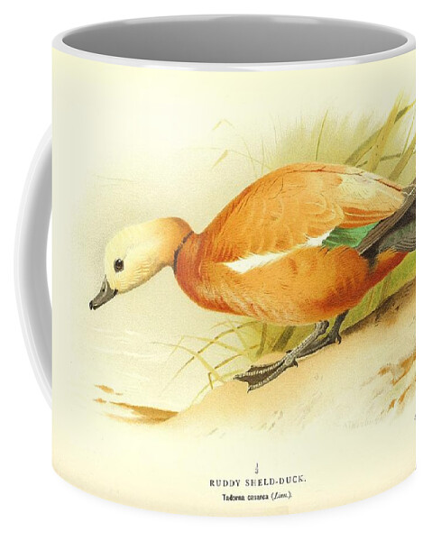 Ducks Coffee Mug featuring the mixed media Beautiful antique waterfowl by Beautiful Nature Prints