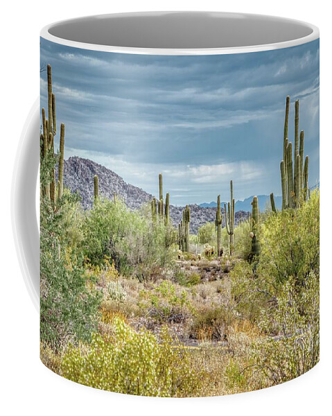 Arizona Coffee Mug featuring the photograph White Tank Mountain State Park Near Phoenix Arizona #26 by Kenneth Roberts